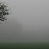 fog
