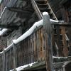 IMG_6317